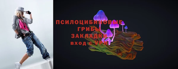хмурый Алексеевка